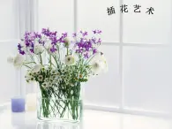 桂美版六年级下册《插花艺术》教案+课件+素材