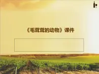 桂美版二年級上冊美術(shù)《毛茸茸的動(dòng)物》課件+教案+素材