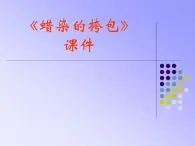桂美版二年級上冊美術(shù)《蠟染的挎包》課件+教案+素材