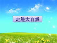桂美版五年級上冊美術(shù)《神奇壯美的自然景觀》課件+教案+素材