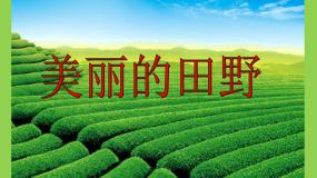 桂美版三年级下册美术《美丽的田野》课件+教案+素材