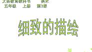 人美版（北京）五年级上册3. 精致的描绘示范课ppt课件