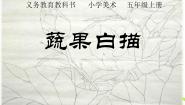 小学美术17. 蔬果白描课文课件ppt