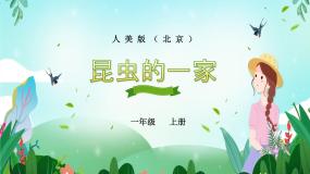 小学美术人美版（北京）一年级上册11. 昆虫的一家多媒体教学课件ppt