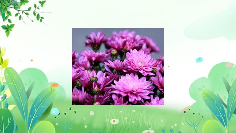 三年上册美术 第五课 瓶花 辽海版课件PPT04