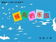 _第16课 候鸟的乐园（课件）-2021-2022学年美术三年级上册 赣美版