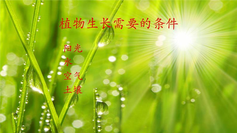 第2课 长呀长(8)课件-2020-2021学年美术一年级下册-人美版第3页