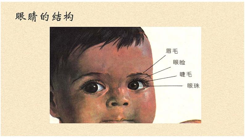 湘美版 一年级美术上册 4.大眼睛 课件(21张PPT)第5页