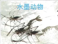 湘美版五年級美術(shù)上冊 第6課 水墨動物課件PPT