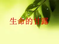 第9课 生命的甘露（13）（课件）美术六年级上册-湘美版