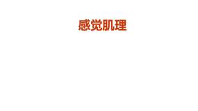 苏少版二年级上册10 感觉肌理多媒体教学ppt课件