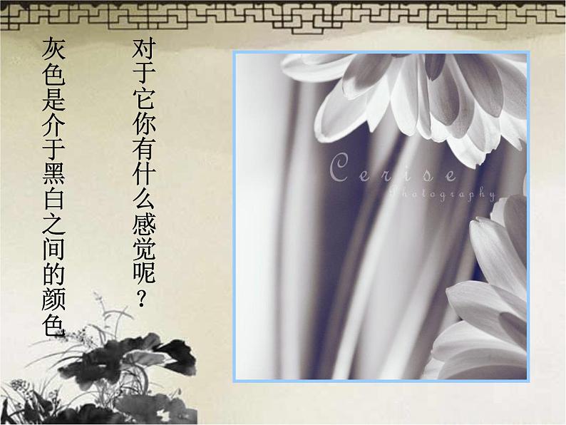苏少版 四年级美术上册 10.黑 白 灰 课件第7页