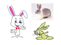 苏少版 三年级美术上册 5.画感觉 课件