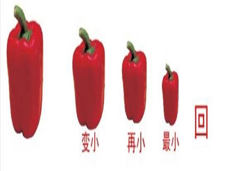 苏少版 三年级美术上册 8.对称美 秩序美 课件第6页