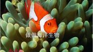 苏少版四年级上册8 做做海洋生物备课课件ppt
