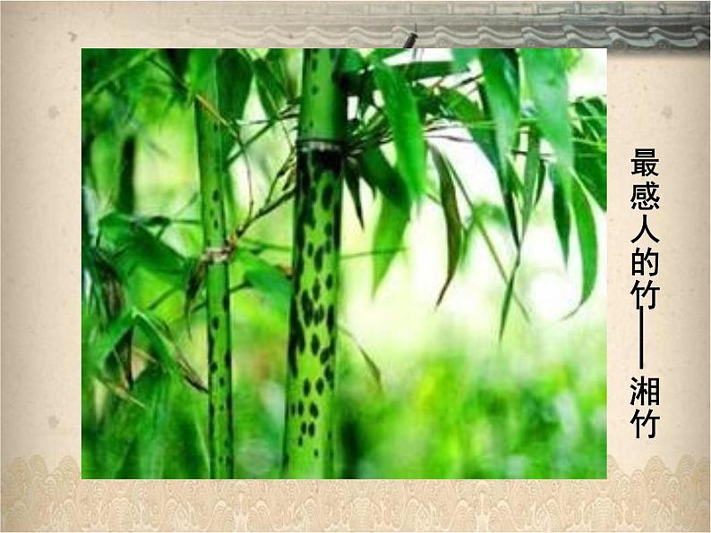 五年级美术上册课件-4.风景如画(一)1-苏少版05