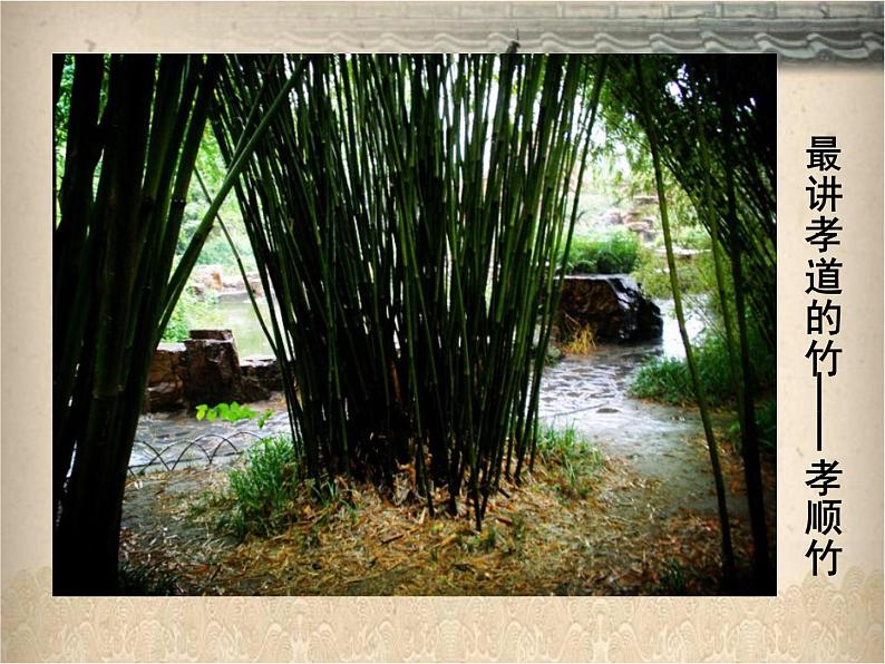 五年级美术上册课件-4.风景如画(一)1-苏少版06