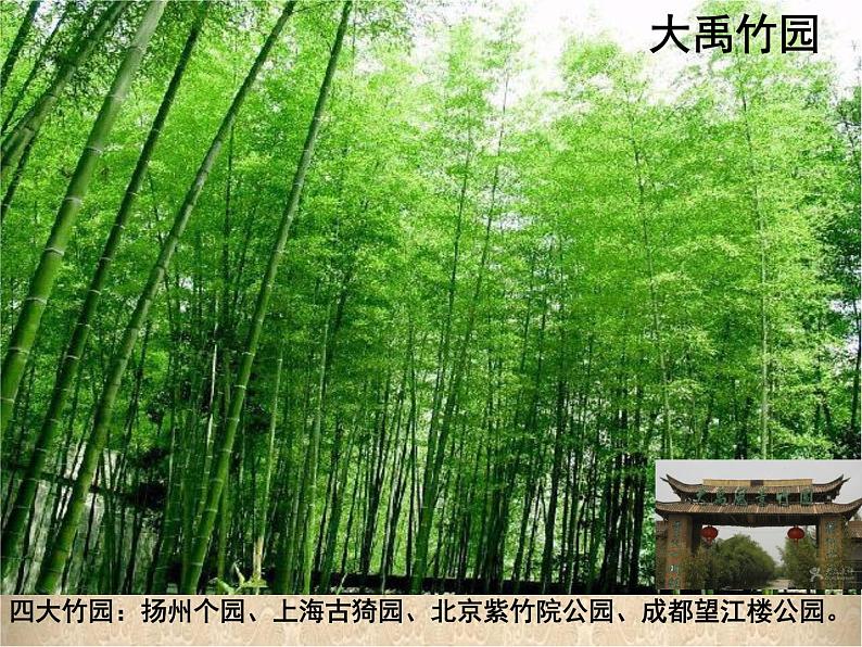 五年级美术上册课件-4.风景如画(一)1-苏少版07