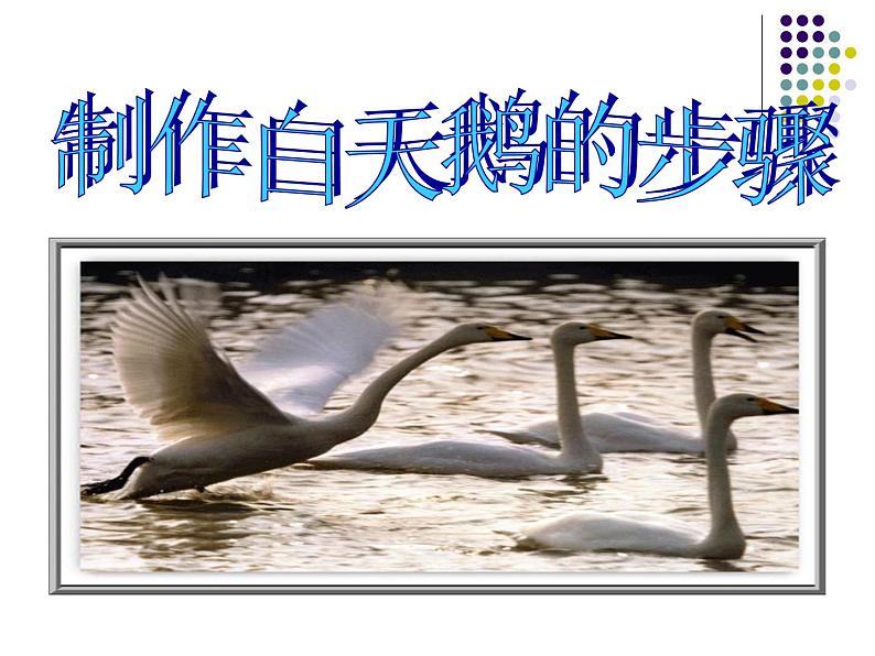 《丑小鸭和白天鹅》课件第7页