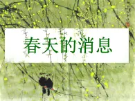 第13课《春天的消息》课件