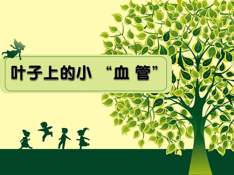 美术二年级上人教版 8叶子上的小血管 说课课件(21张)第2页