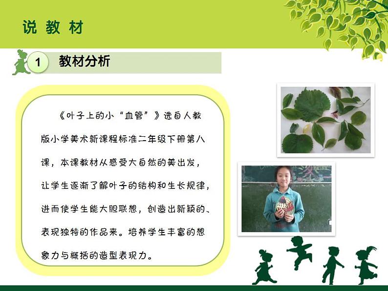 美术二年级上人教版 8叶子上的小血管 说课课件(21张)第3页