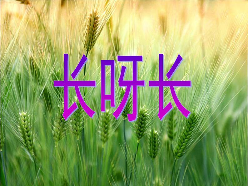 人美版小学美术一年级下册第2课 长呀长 人美版 (共22张PPT)课件PPT04
