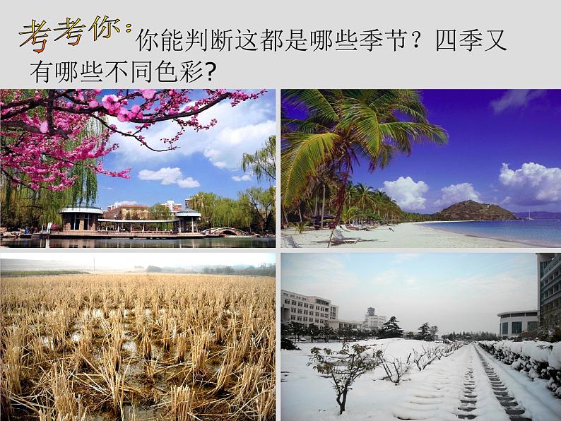 人美版小学四年级上册美术1四季的色彩课件(21张)第7页