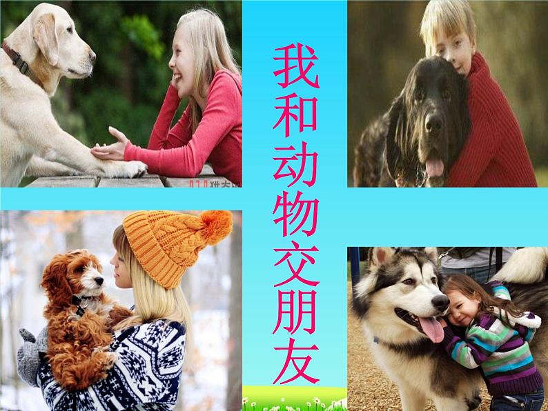 冀美版四年级美术上册5.我和动物做朋友 课件1第1页