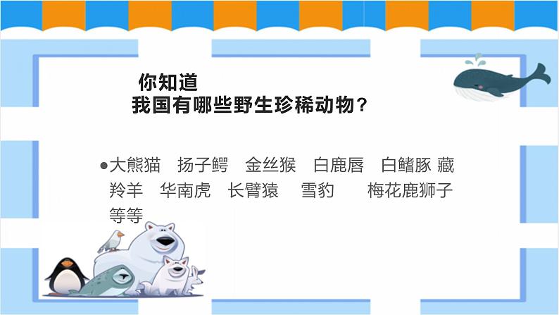 人教版美术三年级下册 保护珍稀野生动物 课件PPT+教案02