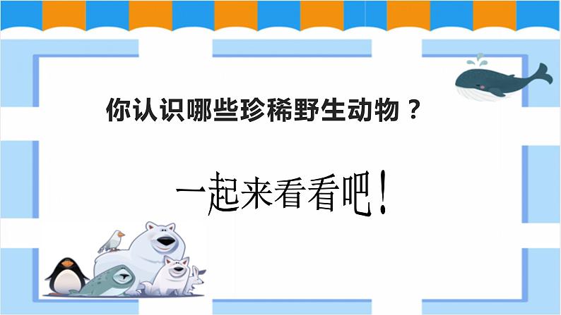 人教版美术三年级下册 保护珍稀野生动物 课件PPT+教案03