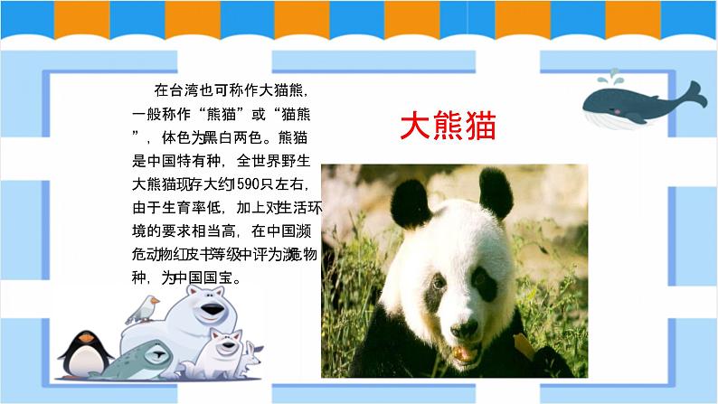 人教版美术三年级下册 保护珍稀野生动物 课件PPT+教案04