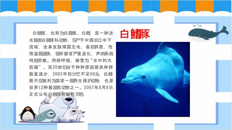 人教版美术三年级下册 保护珍稀野生动物 课件PPT+教案06