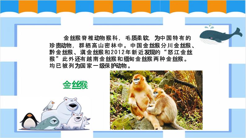 人教版美术三年级下册 保护珍稀野生动物 课件PPT+教案07