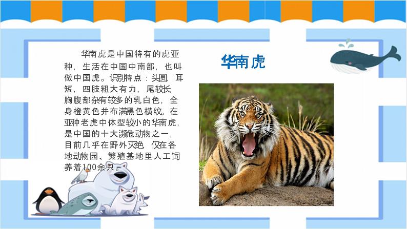 人教版美术三年级下册 保护珍稀野生动物 课件PPT+教案08