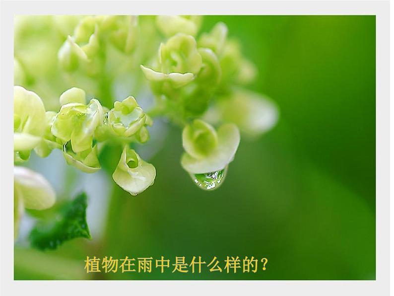 第4课 下雨啦_(课件) 美术一年级上册-人教版第6页