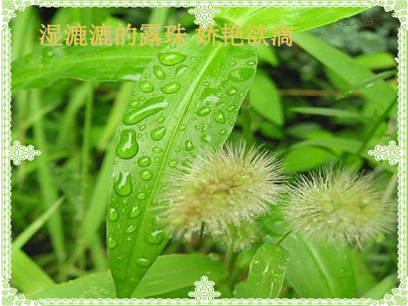 第4课 下雨啦_(课件) 美术一年级上册-人教版第7页
