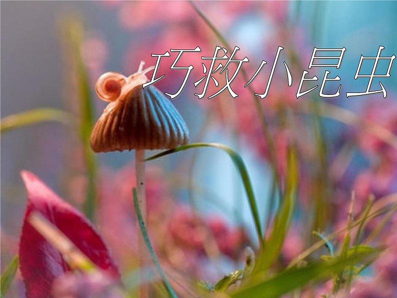 小学二年级上册美术课件-2.5巧救小昆虫-岭南版(16张)ppt课件第2页