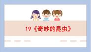 浙美版一年级下册19 奇妙的昆虫教课课件ppt
