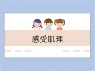 美术冀美版小学三年级下册12《感受肌理》课件