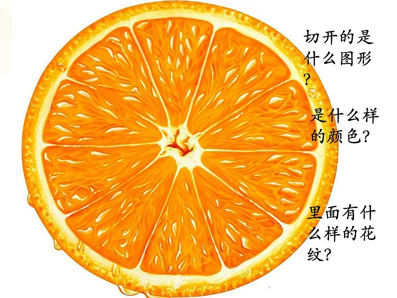 小学二年级下册美术课件-3.7切开的果实-岭南版(17张)ppt课件第4页