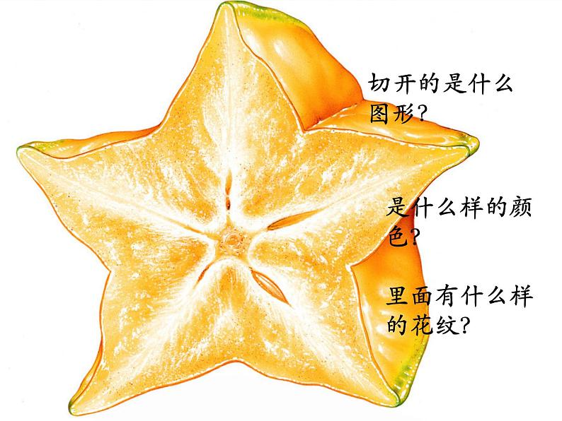 小学二年级下册美术课件-3.7切开的果实-岭南版(17张)ppt课件第5页