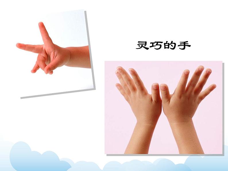 《手印、指印变变变》课件第2页