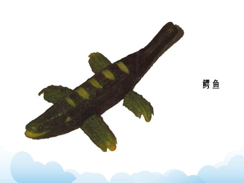 《动物朋友(二)》课件第6页