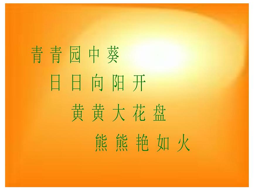 小學(xué)二年級(jí)下冊(cè)美術(shù)課件-第15課向日葵-浙美版(22張)(1)ppt課件第2頁(yè)