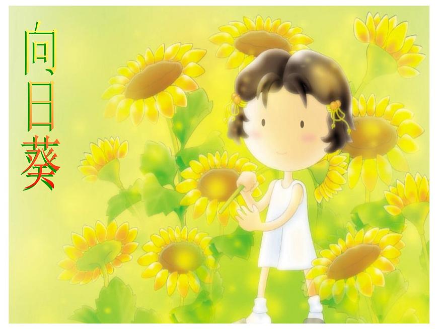 小學(xué)二年級(jí)下冊(cè)美術(shù)課件-第15課向日葵-浙美版(22張)(1)ppt課件第3頁(yè)