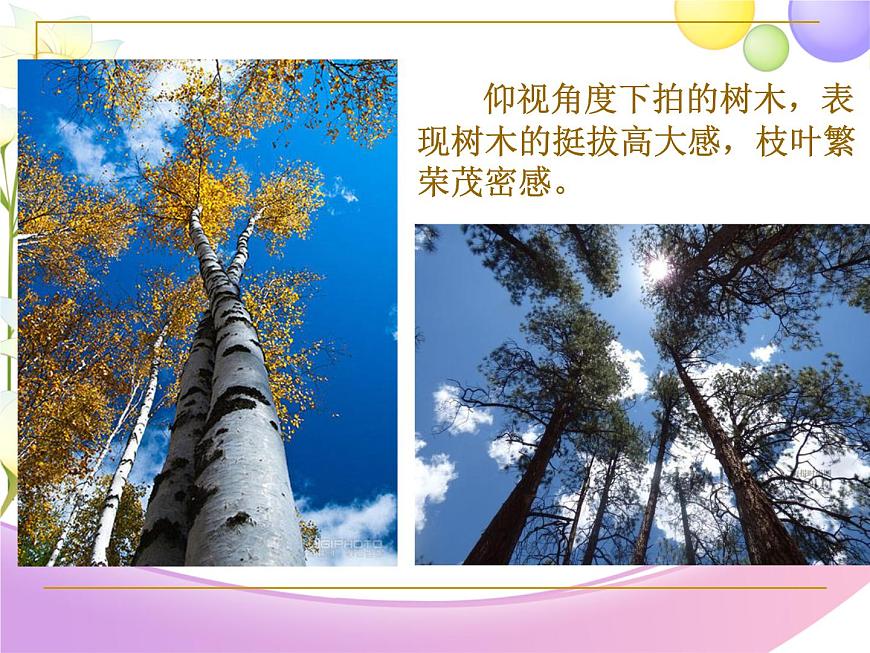 湘美版美術(shù)六下第2課《俯仰之間》ppt課件2[第4頁(yè)