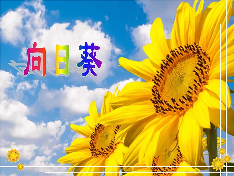 小学二年级下册美术 第15课向日葵-浙美版(19张)(1)ppt课件第4页