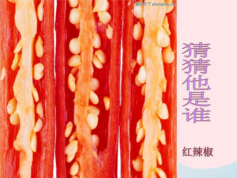 二年级美术下册第7课切开的果实课件2岭南版第2页