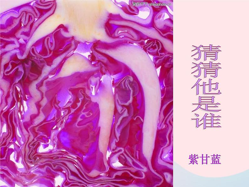 二年级美术下册第7课切开的果实课件2岭南版第4页